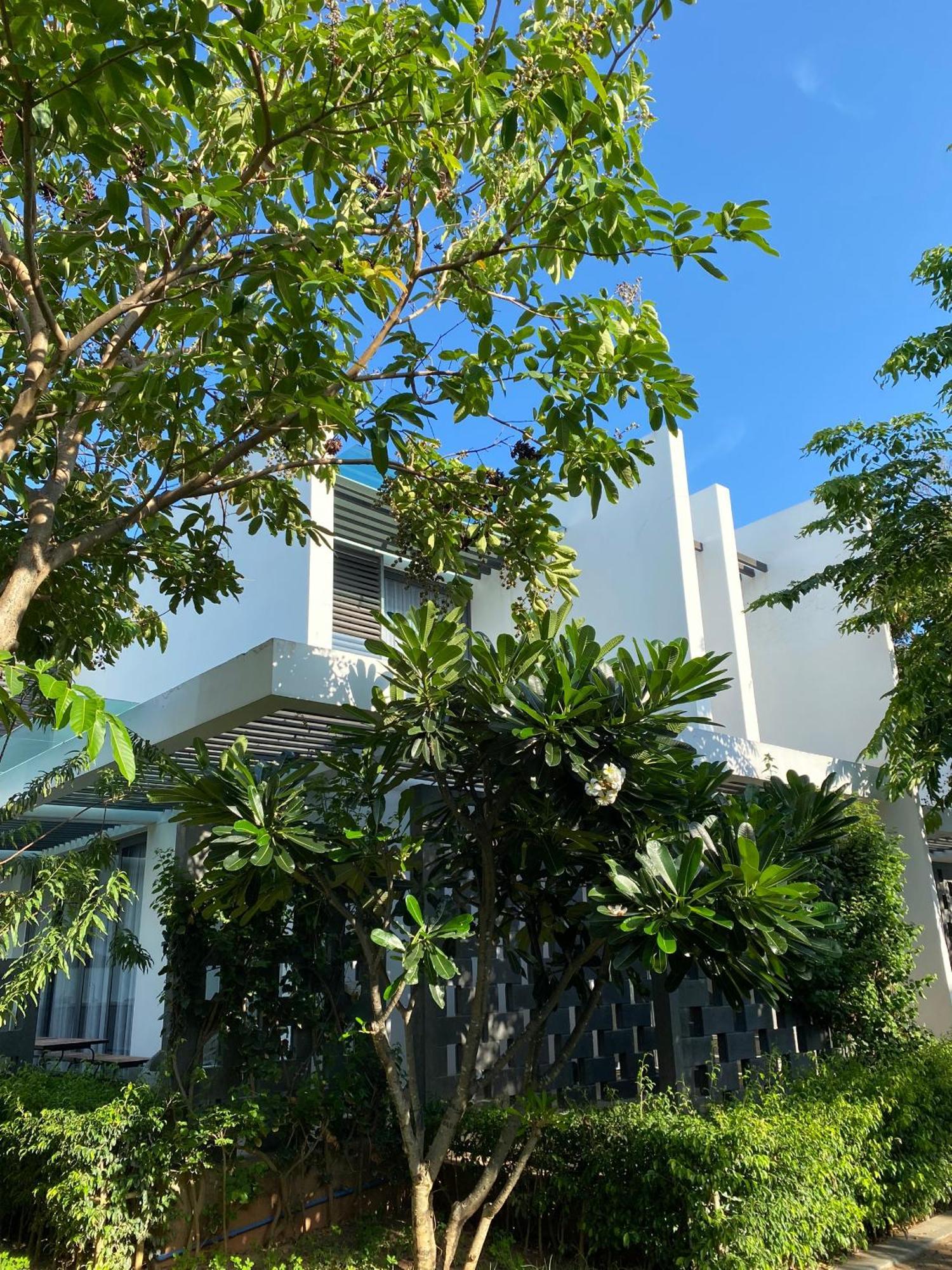 Khach San - Resort Oceanami - Long Hai Exterior photo